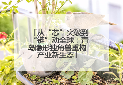 从“芯”突破到“链”动全球：青岛隐形独角兽重构产业新生态