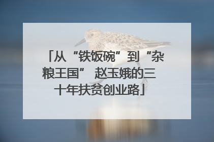 从“铁饭碗”到“杂粮王国” 赵玉娥的三十年扶贫创业路