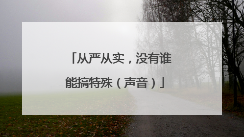 从严从实，没有谁能搞特殊（声音）