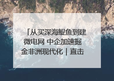 从买深海鳀鱼到建微电网 中企加速掘金非洲现代化｜直击中非经贸博览会