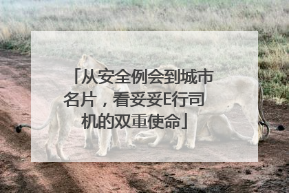 从安全例会到城市名片，看妥妥E行司机的双重使命