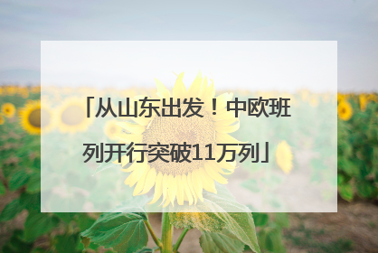 从山东出发！中欧班列开行突破11万列