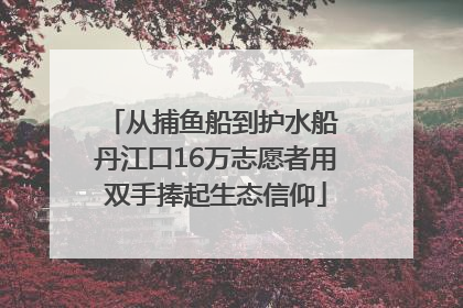 从捕鱼船到护水船 丹江口16万志愿者用双手捧起生态信仰