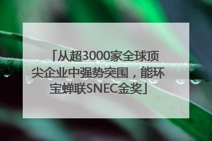 从超3000家全球顶尖企业中强势突围，能环宝蝉联SNEC金奖