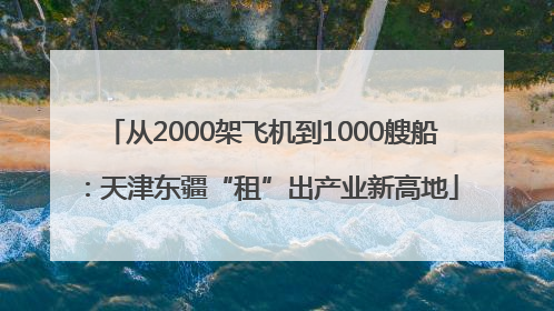 从2000架飞机到1000艘船：天津东疆“租”出产业新高地
