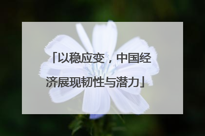 以稳应变，中国经济展现韧性与潜力