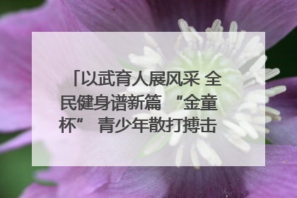 以武育人展风采 全民健身谱新篇 “金童杯” 青少年散打搏击邀请赛圆满落幕