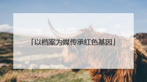 以档案为媒传承红色基因