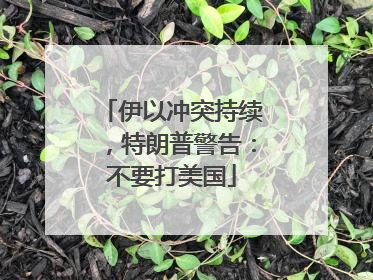 伊以冲突持续，特朗普警告：不要打美国