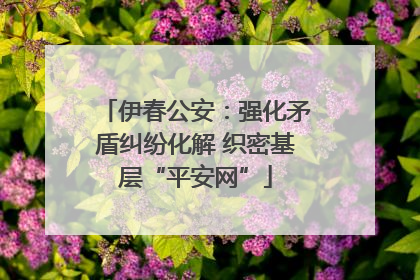 伊春公安：强化矛盾纠纷化解 织密基层“平安网”