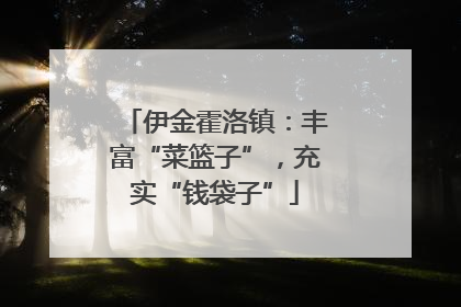 伊金霍洛镇：丰富“菜篮子”，充实“钱袋子”