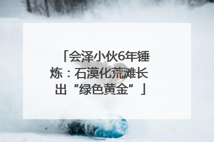 会泽小伙6年锤炼：石漠化荒滩长出“绿色黄金”