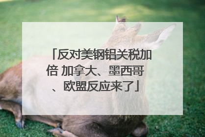 反对美钢铝关税加倍 加拿大、墨西哥、欧盟反应来了