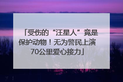 受伤的“汪星人”竟是保护动物！无为警民上演70公里爱心接力