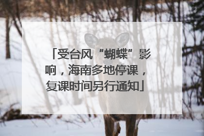 受台风“蝴蝶”影响，海南多地停课，复课时间另行通知