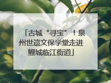 古城“寻宝”！泉州世遗文保学堂走进鲤城临江街道