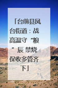 台前县凤台街道：战高温守“粮”辰 禁烧保收多管齐下