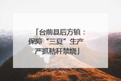 台前县后方镇：保障“三夏”生产 严抓秸秆禁烧