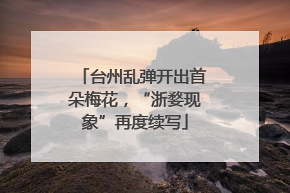台州乱弹开出首朵梅花，“浙婺现象”再度续写