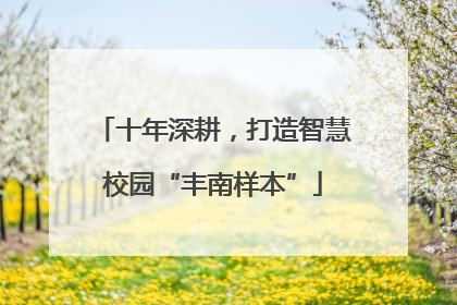 十年深耕，打造智慧校园“丰南样本”