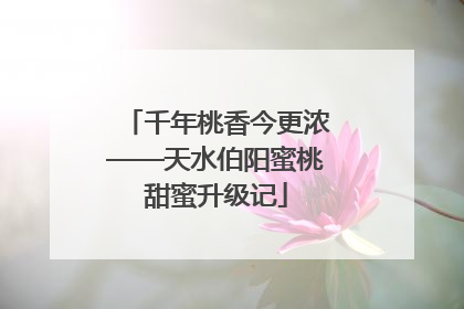 千年桃香今更浓——天水伯阳蜜桃甜蜜升级记