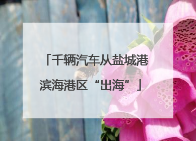 千辆汽车从盐城港滨海港区“出海”