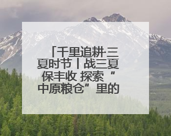 千里追耕·三夏时节丨战三夏保丰收 探索“中原粮仓”里的科技感