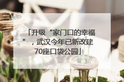 升级“家门口的幸福”，武汉今年已新改建70座口袋公园