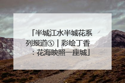 半城江水半城花系列报道⑤｜彩绘丁香：花海映照一座城