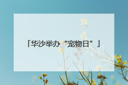 华沙举办“宠物日”