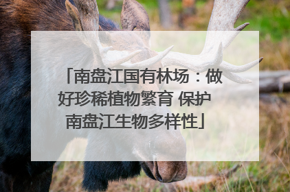 南盘江国有林场：做好珍稀植物繁育 保护南盘江生物多样性