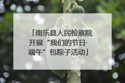 南乐县人民检察院开展“我们的节日·端午”包粽子活动