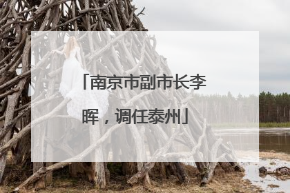 南京市副市长李晖，调任泰州