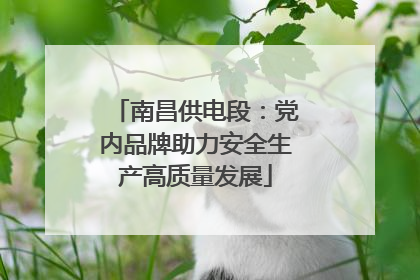 南昌供电段：党内品牌助力安全生产高质量发展