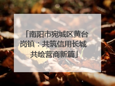 南阳市宛城区黄台岗镇：共筑信用长城 共绘营商新篇