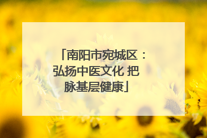 南阳市宛城区：弘扬中医文化 把脉基层健康