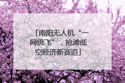 南阳无人机“一网统飞”，抢滩低空经济新赛道