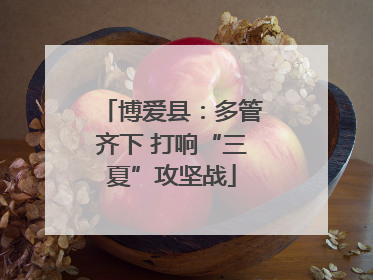 博爱县：多管齐下 打响“三夏”攻坚战