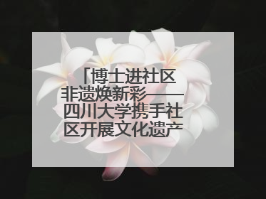 博士进社区 非遗焕新彩——四川大学携手社区开展文化遗产日特别活动