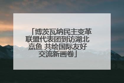 博茨瓦纳民主变革联盟代表团到访湖北嘉鱼 共绘国际友好交流新画卷