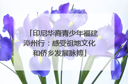 印尼华裔青少年福建漳州行：感受祖地文化和侨乡发展脉搏