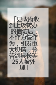 县政府收到上级转办的信访后，不作为慢作为，引发重大舆情，分管副县长等25人被处理