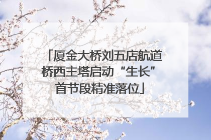厦金大桥刘五店航道桥西主塔启动“生长” 首节段精准落位