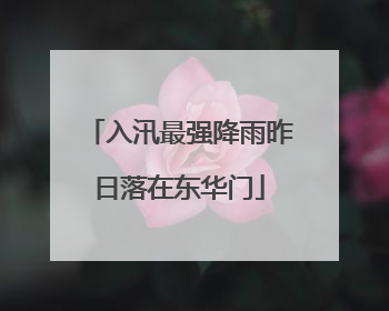 入汛最强降雨昨日落在东华门