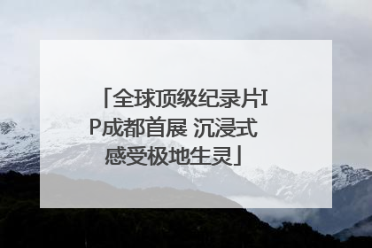 全球顶级纪录片IP成都首展 沉浸式感受极地生灵