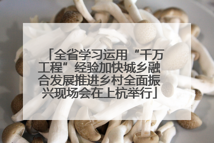 全省学习运用“千万工程”经验加快城乡融合发展推进乡村全面振兴现场会在上杭举行