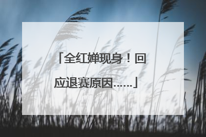 全红婵现身！回应退赛原因……