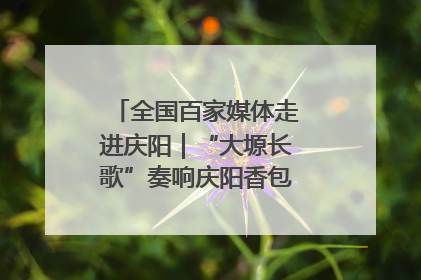 全国百家媒体走进庆阳｜“大塬长歌”奏响庆阳香包民俗文化节序曲