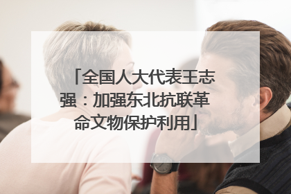 全国人大代表王志强：加强东北抗联革命文物保护利用