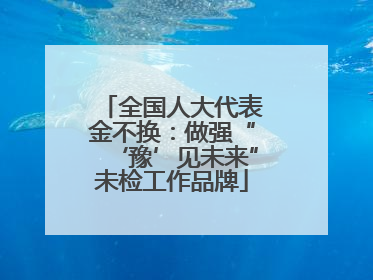 全国人大代表金不换：做强“‘豫’见未来”未检工作品牌